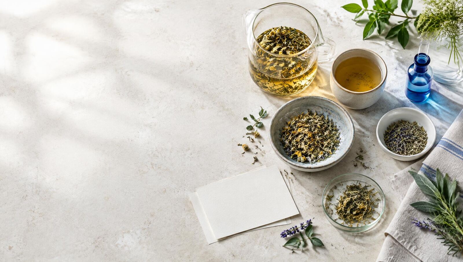 Herbal infusions and botanicals arranged for thoughtful study